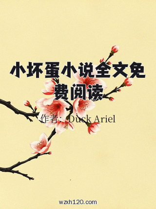 小坏蛋小说全文免费阅读