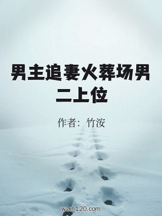 男主追妻火葬场男二上位