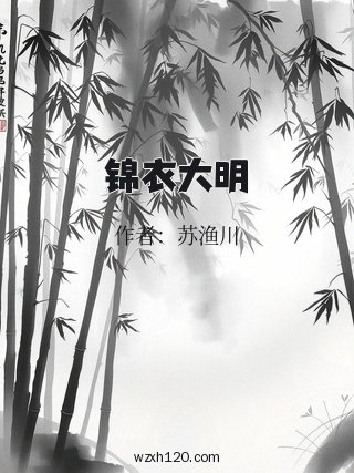 锦衣大明