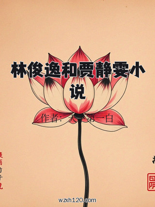 林俊逸和贾静雯小说