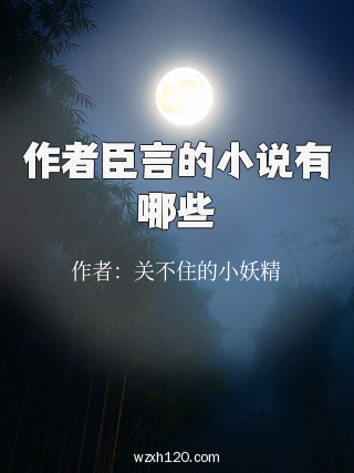 作者臣言的小说有哪些