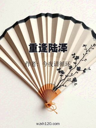 重逢陆泽