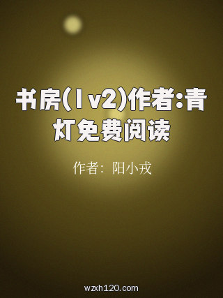 书房(1v2)作者:青灯免费阅读