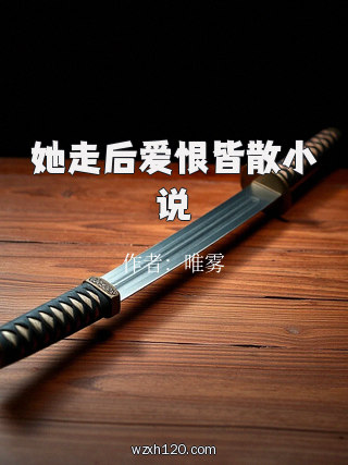 她走后爱恨皆散小说