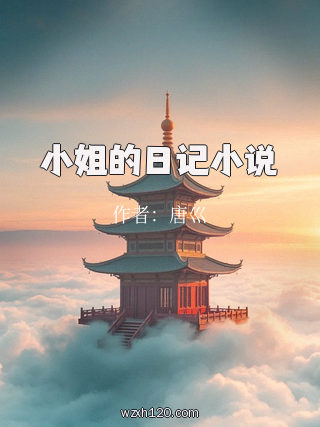 小姐的日记小说