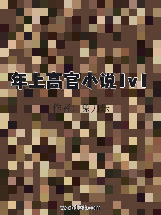 年上高官小说1v1