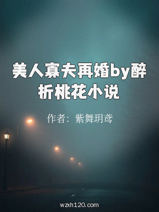 美人寡夫再婚by醉折桃花小说