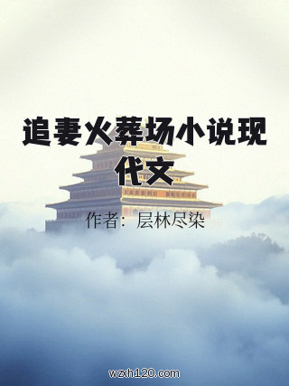 追妻火葬场小说现代文
