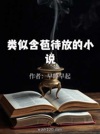 类似含苞待放的小说