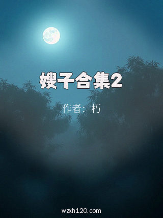 嫂子合集2