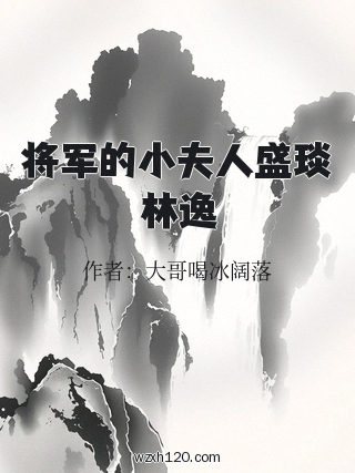 将军的小夫人盛琰林逸