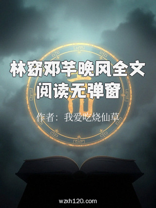 林窈邓芊晚风全文阅读无弹窗