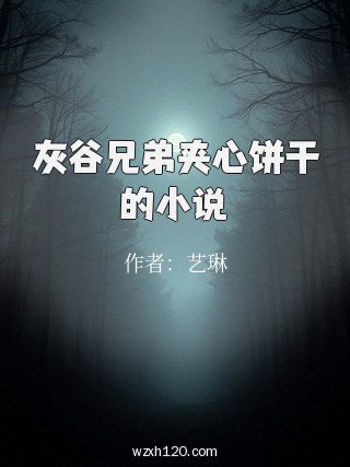 灰谷兄弟夹心饼干的小说