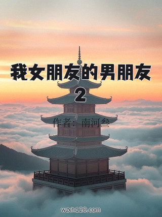 我女朋友的男朋友2