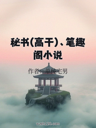 秘书(高干)、笔趣阁小说