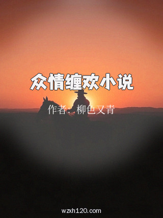 众情缠欢小说
