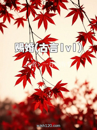 赐婚(古言1v1)