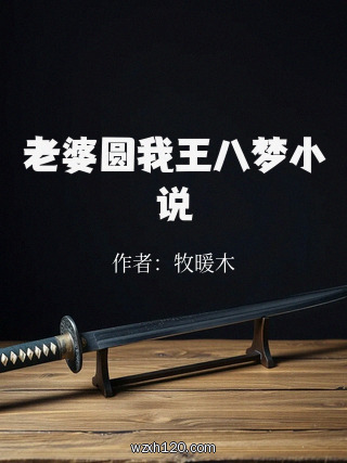 老婆圆我王八梦小说