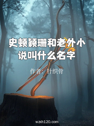 史顿颖珊和老外小说叫什么名字