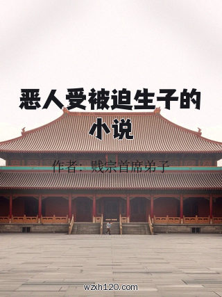 恶人受被迫生子的小说