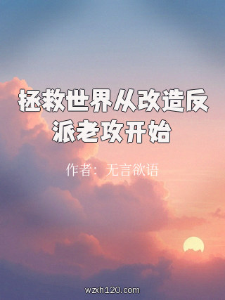 拯救世界从改造反派老攻开始