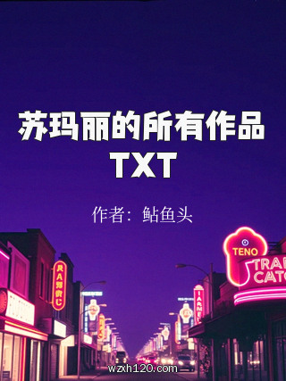 苏玛丽的所有作品TXT