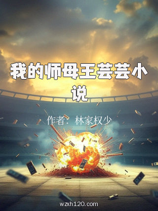 我的师母王芸芸小说