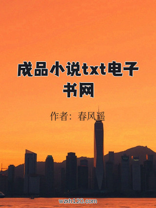 成品小说txt电子书网