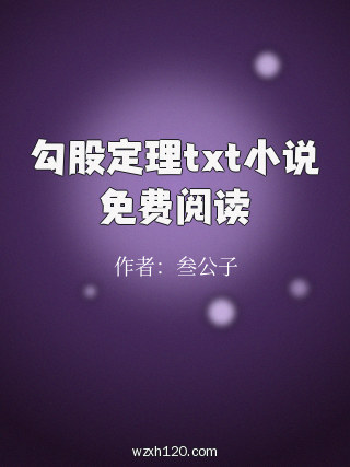 勾股定理txt小说免费阅读