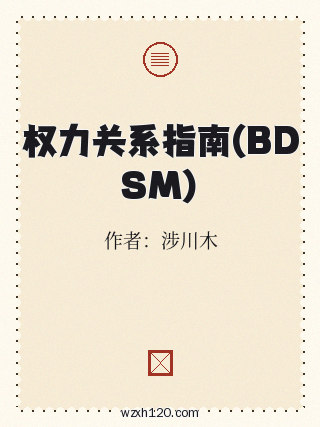 权力关系指南(BDSM)