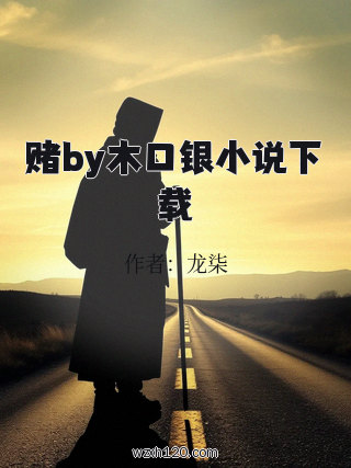 赌by木口银小说下载
