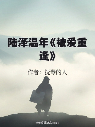 陆泽温年《被爱重逢》
