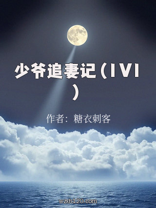 少爷追妻记(1V1)
