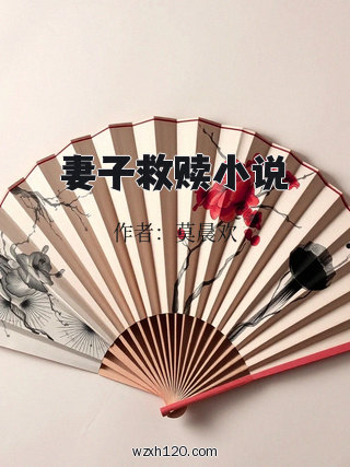 妻子救赎小说