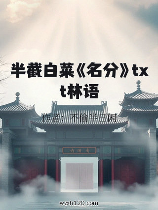 半截白菜《名分》txt林语