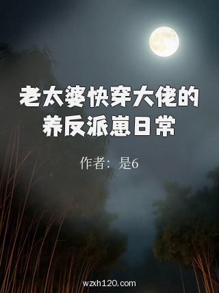 老太婆快穿大佬的养反派崽日常
