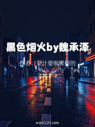 黑色烟火by魏承泽