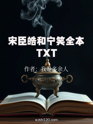 宋臣皓和宁笑全本TXT