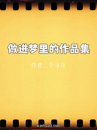 做进梦里的作品集