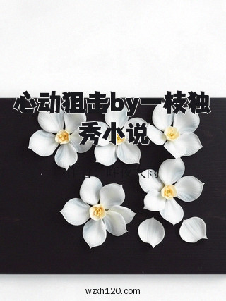 心动狙击by一枝独秀小说