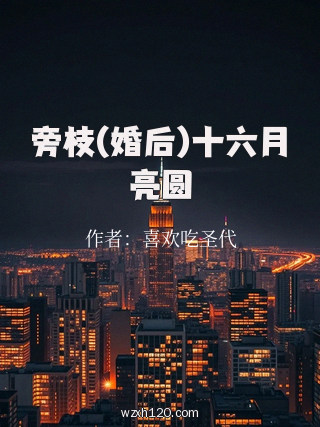 旁枝(婚后)十六月亮圆