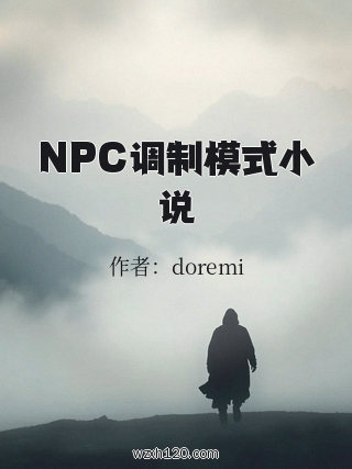 NPC调制模式小说