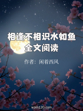 相逢不相识水如鱼全文阅读