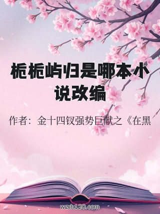 栀栀屿归是哪本小说改编