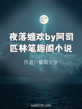 夜落缠欢by阿司匹林笔趣阁小说