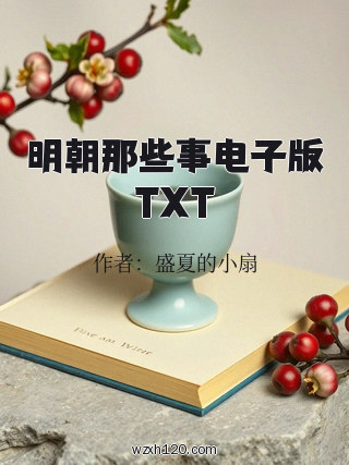 明朝那些事电子版TXT