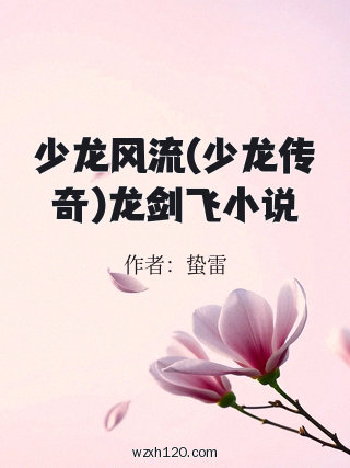 少龙风流(少龙传奇)龙剑飞小说
