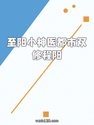 至阳小神医都市双修程阳