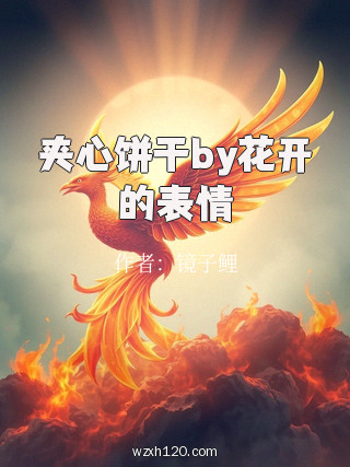 夹心饼干by花开的表情