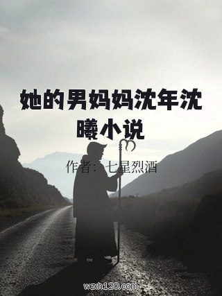 她的男妈妈沈年沈曦小说